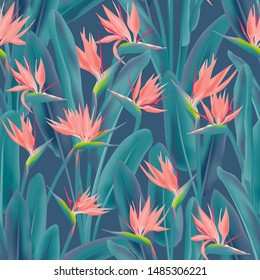 Tropical crane flower vector seamless pattern. Jungle plant paradise tropical summer fabric design. South African plant tropical blossom of crane flower, strelitzia. Floral textile print.