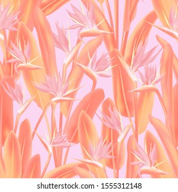 Tropical crane flower vector seamless pattern. Jungle plant paradise tropical summer fabric design. South African plant tropical blossom of crane flower, strelitzia. Floral wallpaper.