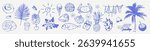 Tropical crayon scribble sketched set. Summer marine elements in grunge chalk rough sketch style. Hand drawn vector illustration of sea nautical vacation. Watercolor, charcoal texture for design.	