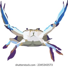 tropical crustacean blue crab aggressive predator-