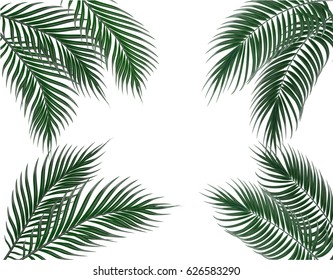 Tropical dark green palm leaves on four sides. Set. Isolated on white background. Vector illustration