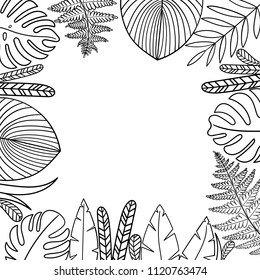 Tropical decoration frame. Jungle leaf. Botanical illustration