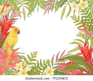 Tropical decoration frame for your text, vector illustration in vintage style with Parrot Sun Conure, Chameleon, plant Bromelia Guzmania and colorful leaves.