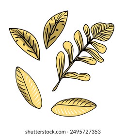 Tropical decorative leaves vector illustration 