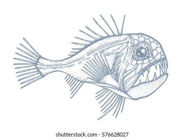 tropical deep-sea fish, Sabretooth. Exotic Tattoo, totem animal, aggressive. Decorative element for design. Printing on clothing, t-shirt. Stylized vector illustration, sketch.