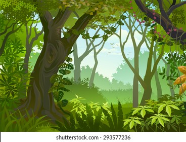 Tropical dense forest