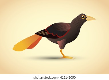 Tropical design. bird concept. nature icon 