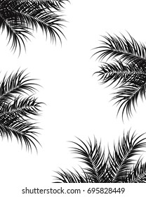 Tropical design with black palm leaves and plants on white background, vector illustration