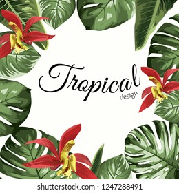 Tropical design border frame template with green jungle tree monstera leaves and orchid cattleya flowers . Text placeholder. Vector design illustration.