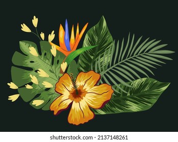 Tropical design element with flowers and strelitzia, leaves palm and monstera. Vector illustration on a black background