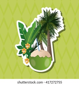 Tropical design. flower concept. coconut icon 