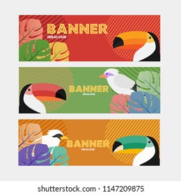 tropical design, flyer, banner, backround