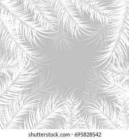 Tropical design with monstera palm leaves and plants on gray background, vector illustration