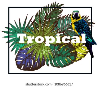 Tropical design, palm leaves, vector illustration, parrot frame vector