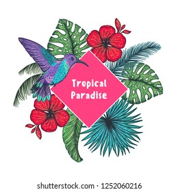 Tropical design template. Colibri and palm leaves vector illustration. Summer design.