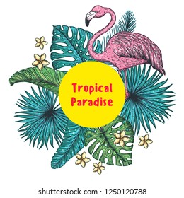 Tropical design template. Flamingo and palm leaves vector illustration. Summer  design.