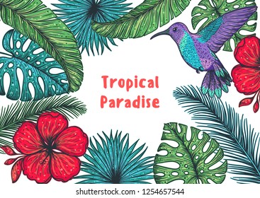 Tropical design template. Hello summer frame. Hummingbird, palm leaves and flowers vector illustration. Summer design.