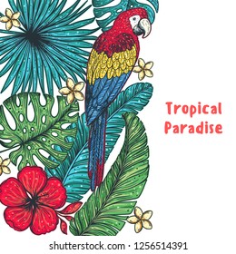 Tropical design template. Tropical paradise. Parrot, palm leaves and flowers vector illustration. Summer design.