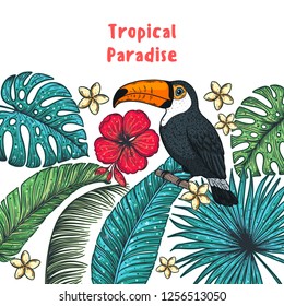 Tropical design template. Tropical paradise. Toucan, palm leaves and flowers vector illustration. Summer design.