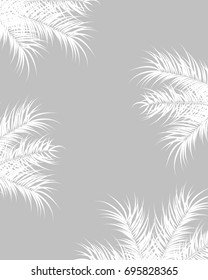 Tropical design with white palm leaves and plants on gray background, vector illustration