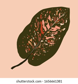 Tropical Dieffenbachia leaf in a minimalist trendy style. Silhouette of a plant in a contemporary simple abstract style. Vector illustration collage. For t-Shirt Print, card, poster, social media post