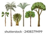 Tropical different trees isolated. Vector
