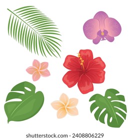 Tropical different type exotic leaves and flowers set. Jungle plants. Monstera and palm leaves. Orchid, hibiscus and plumeria flowers. Cartoon vector illustration isolated on white background.