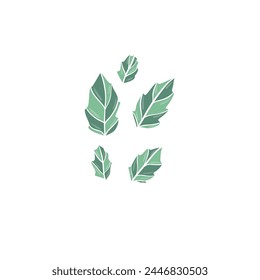 Tropical different type exotic leaves set. Jungle plants. Calathea, Monstera and palm leaves. Realistic vector illustration isolated on white background