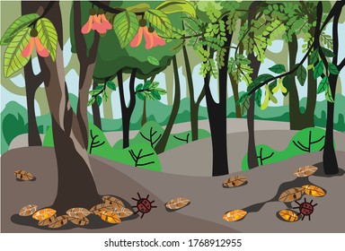 vector de dibujo del bosque de dipterocarburos tropicales