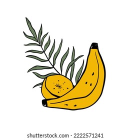 Tropical doodle composition with yellow bananas and palm leaves on a white background. Ideal for prints, sublimation, t shirt design, tote bag, invitation. Hand drawn vector illustration
