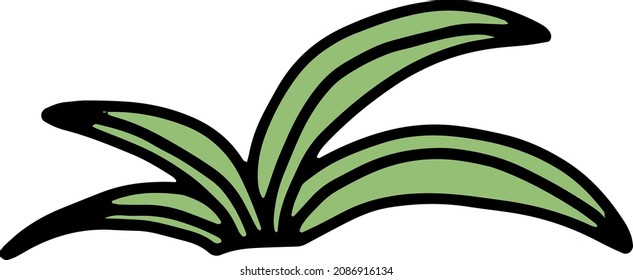 Tropical doodle green leaf vector isolated illustration. Floral element for decoration. Exotic nature