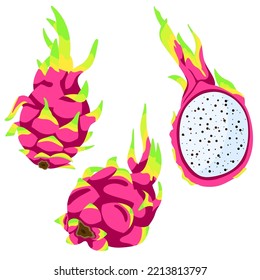 Tropical dragon fruit vector set of elements