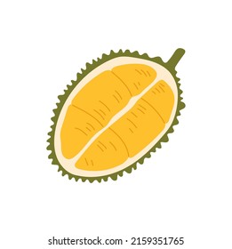 Tropical durian half cut exotic fruit isolated flat cartoon style food dessert. Vector asian smelling fruit with odour flavour, breadfruit jackfruit with spikes. Durio zibethinus vegetarian food snack