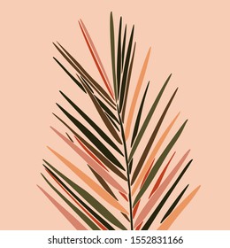 Tropical Dypsis leaves in a minimalist trendy style. Silhouette of a plant in a contemporary abstract style. Vector illustration collage. For t-Shirt Print, card, poster, social media post