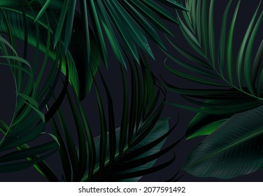 Fondo tropical elegante, con hojas de esmeralda exóticas. Vector de diseño. Plantas paraísas, carta verde y elegante. Banner de moda. Plantilla de boda. Las hojas no se cortan. Aislado y editable