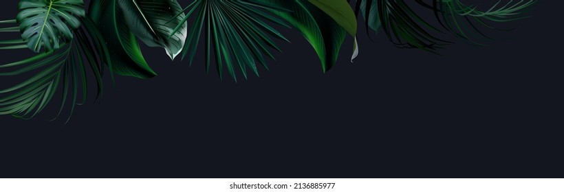 Tropical elegant background arranged from exotic emerald leaves. Design vector. Paradise plants, greenery chic card. Stylish fashion banner. Wedding template. Leaves are not cut. Isolated and editable