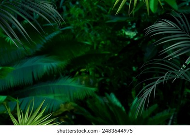 Fondo elegante tropical arreglado de hojas de esmeralda exóticas. Vector de diseño. Plantas del paraíso, tarjeta elegante del verdor. Elegante Anuncio de moda. Boda Plantilla. Las hojas no se cortan. Aislado y editable