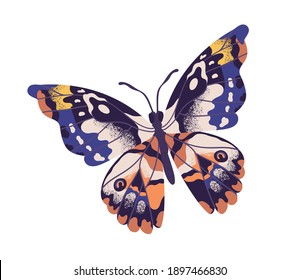 Тропическая элегантная бабочка с разноцветными крыльями и усиками, изолированными на белом фоне. Красивый летающий мотылек, вид сверху. Великолепное экзотическое весеннее насекомое. Цветная плоская текстурная векторная иллюстрация