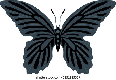 Tropical elegant butterfly with colorful wings and antennae isolated on white background. Gorgeous exotic spring insect. Colored flat texture vector illustration