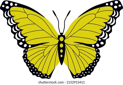 14,845 Butterfly gorgeous Images, Stock Photos & Vectors | Shutterstock