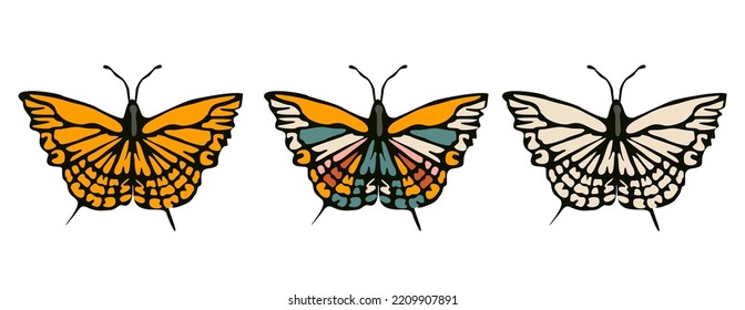 Mariposa tropical elegante con alas coloridas y antenas aisladas en fondo blanco. Bonita vista superior de polilla voladora. Hermoso insecto de primavera exótico. Ilustración vectorial plana de color.