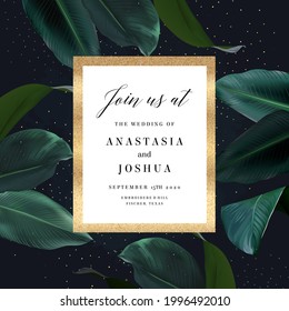 Tropical elegant frame arranged from exotic emerald leaves. Design vector. Paradise plants, greenery chic card. Stylish fashion banner. Wedding template. All leaves are not cut. Isolated and editable