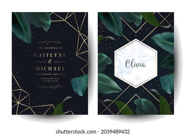 Marco tropical elegante, dispuesto a partir de hojas de esmeralda exóticas. Vector de diseño. Plantas paraísas, carta verde y elegante. Banner de moda. Plantilla de boda. No se cortan todas las hojas. Aislado y editable