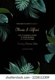 Marco tropical elegante, dispuesto a partir de hojas de esmeralda exóticas. Vector de diseño. Palmeras de paraíso, carta verde y elegante. Banner de moda. Plantilla de boda. No se cortan todas las hojas. Aislado y editable