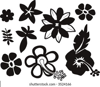 Tropical Element set Vector Illustration