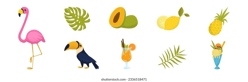 Tropical Elements with Cocktail, Ice Cream, Flamingo, Fruits and Leaf Vector Set