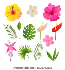 tropical elements of flowers and leaves vector illustration