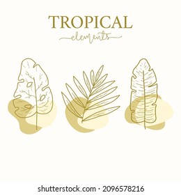 Tropical Elements Kit Leaves Outline