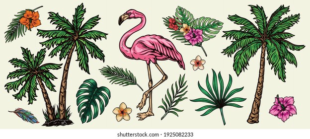 Tropical elements vintage colorful concept with beautiful pink flamingo palm trees exotic flowers and leaves isolated vector illustration