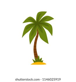 Tropical evergreen palm tree vector Illustration on a white background